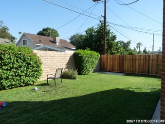 Enlarge photo 64