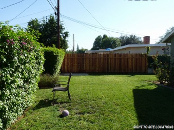 Enlarge photo 61