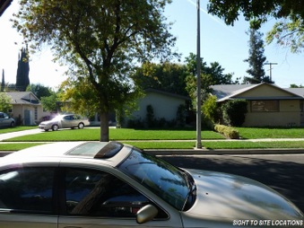Enlarge photo 7