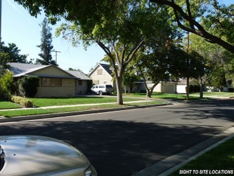 Enlarge photo 28