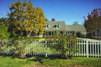 Enlarge photo 73
