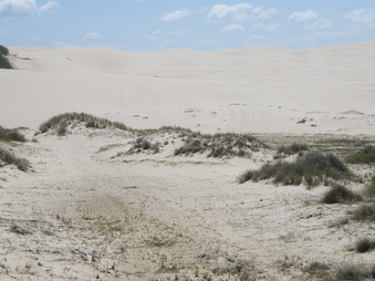 OCEANO DUNES