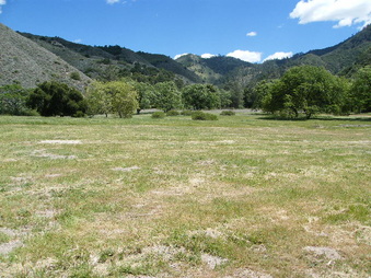 Enlarge photo 4
