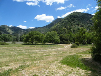 Enlarge photo 5