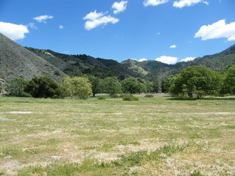 Enlarge photo 6