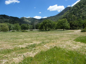 Enlarge photo 7