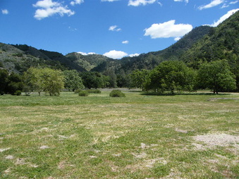 Enlarge photo 8