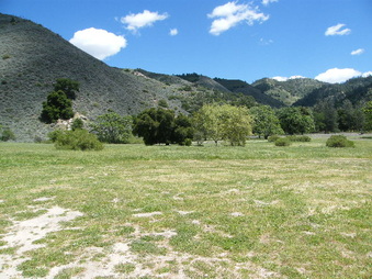 Enlarge photo 10