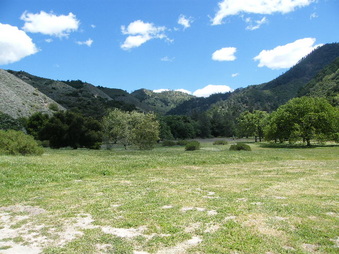 Enlarge photo 13