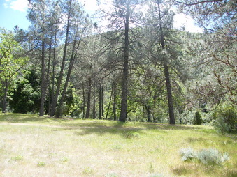 Enlarge photo 18