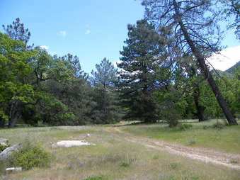 Enlarge photo 20