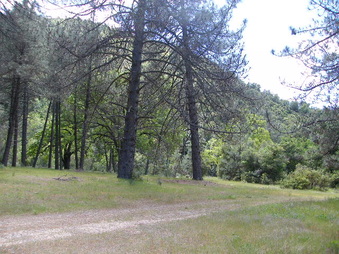 Enlarge photo 21
