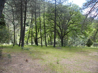 Enlarge photo 22