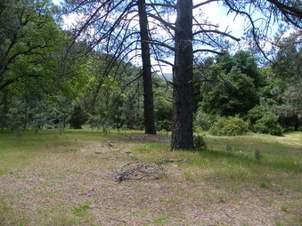 Enlarge photo 23