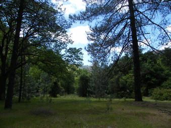 Enlarge photo 25