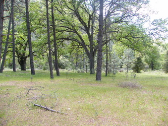 Enlarge photo 26