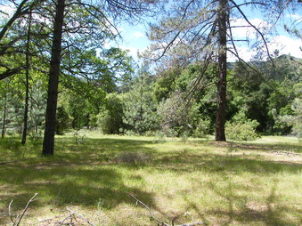 Enlarge photo 28