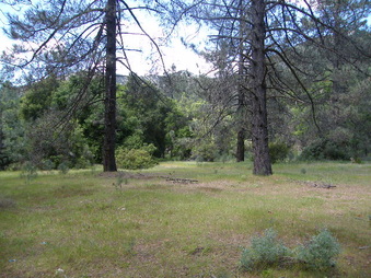 Enlarge photo 29
