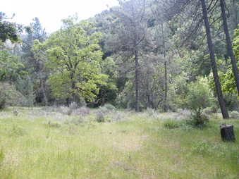 Enlarge photo 30
