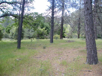 Enlarge photo 32