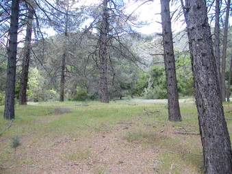 Enlarge photo 33