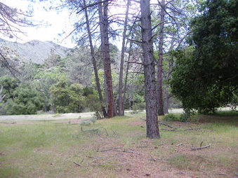 Enlarge photo 35