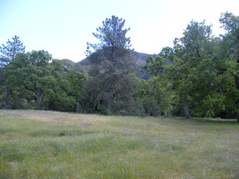Enlarge photo 37