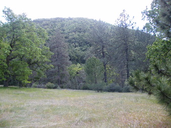 Enlarge photo 38