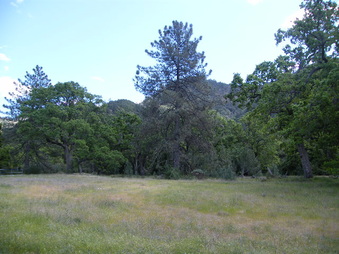 Enlarge photo 41