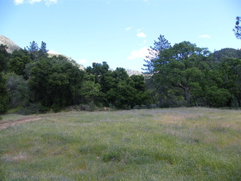 Enlarge photo 42