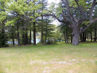 Enlarge photo 43