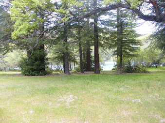 Enlarge photo 44