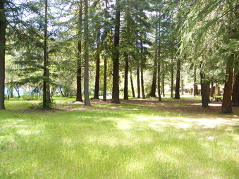 Enlarge photo 45