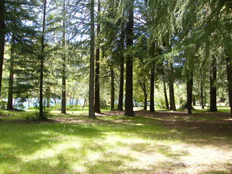 Enlarge photo 46