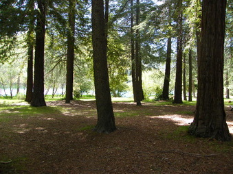 Enlarge photo 47