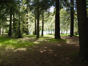 Enlarge photo 48