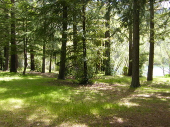 Enlarge photo 49