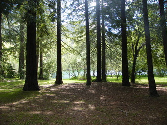 Enlarge photo 50