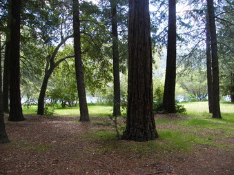 Enlarge photo 52