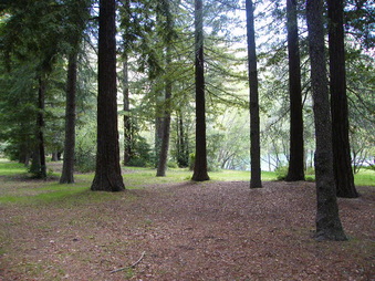 Enlarge photo 53