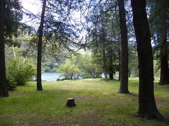 Enlarge photo 54