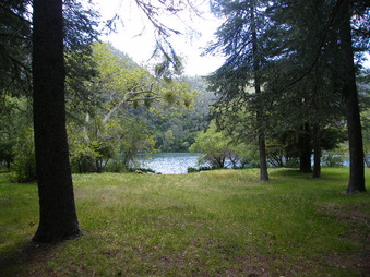 Enlarge photo 55