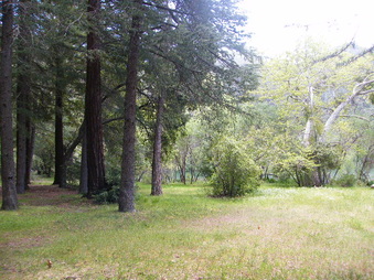 Enlarge photo 56