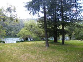 Enlarge photo 57