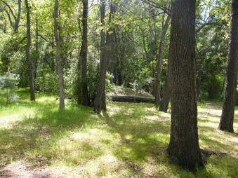 Enlarge photo 59