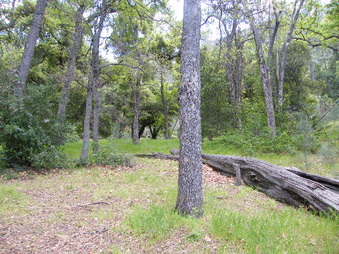 Enlarge photo 64