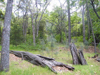 Enlarge photo 65