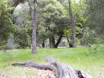 Enlarge photo 66