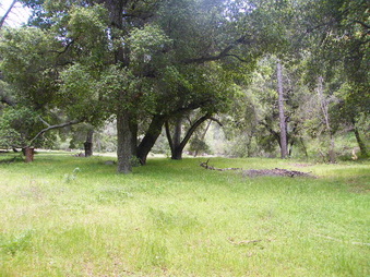 Enlarge photo 69