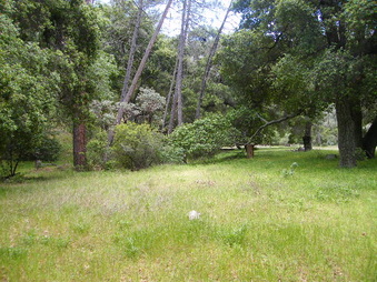 Enlarge photo 70